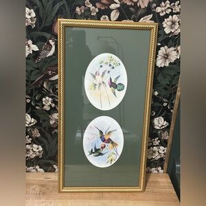 Antique hummingbird, professionally framed prints
